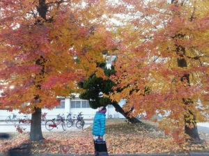 Enjoying Autumn Foliage in Okayama University during Solo-Travel in Japan 2013
